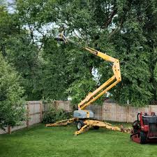 How Our Tree Care Process Works  in  Brownville, NJ